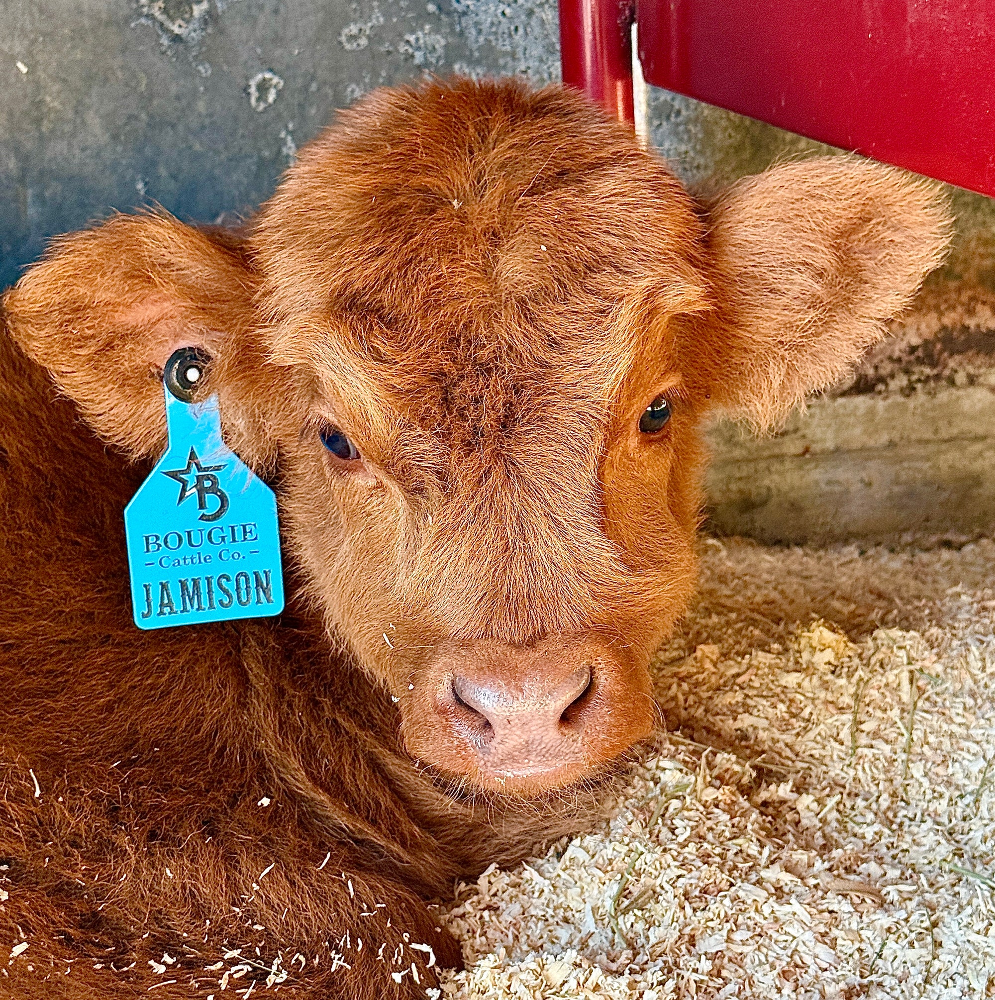 935D7ED8-8C13-46E4-B3B6-41C303E6E0AF