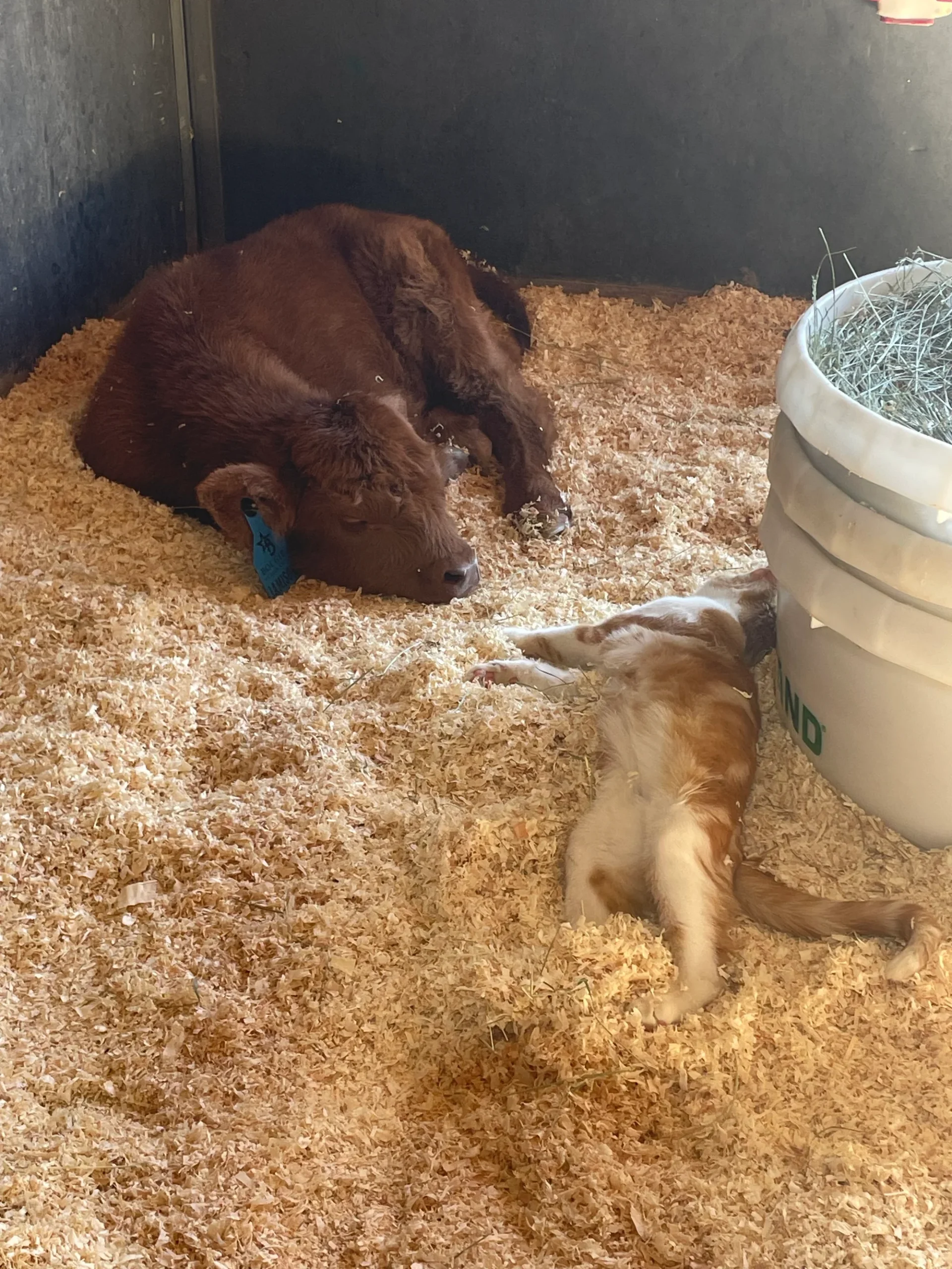 A3664183-6711-48CE-B5DE-1466CA36C48F