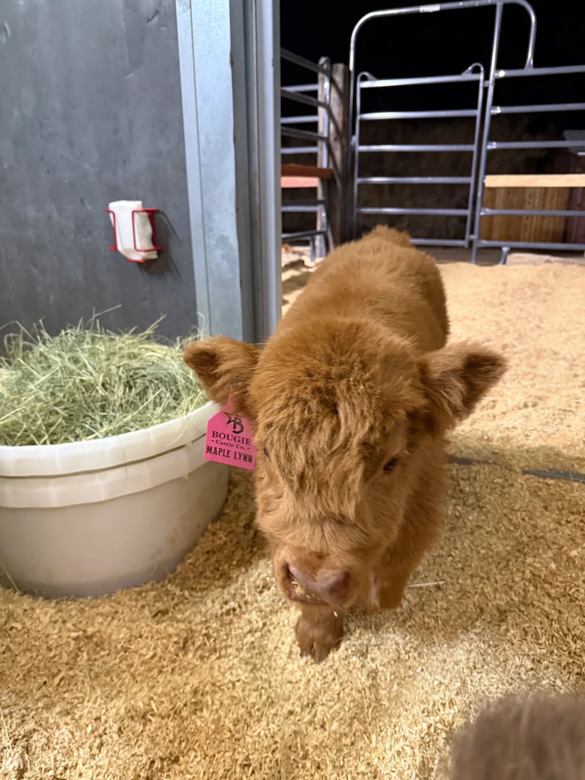 A4D5B9C9-8F2E-4EE8-885A-453653CF368E